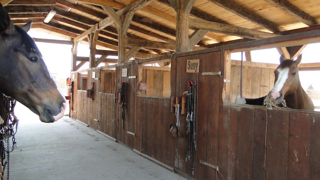 Agriturismo Tre Rondini Legnago Zewnętrze zdjęcie